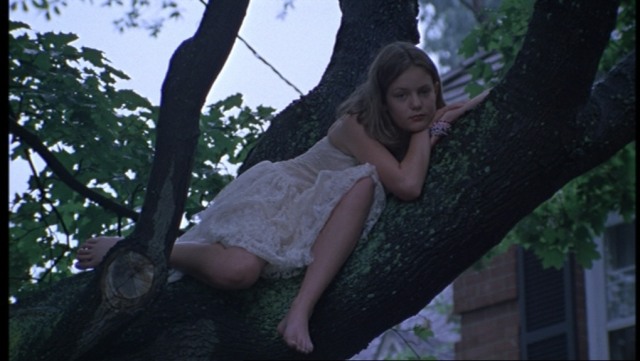 The-Virgin-Suicides-309